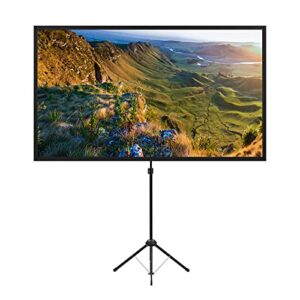 Projector Screen with Stand