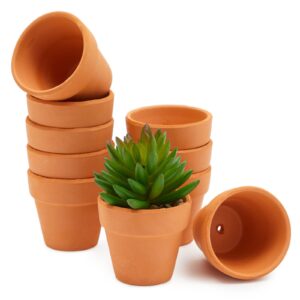 Mini Terracotta Pots with Drainage Hole for Succulents